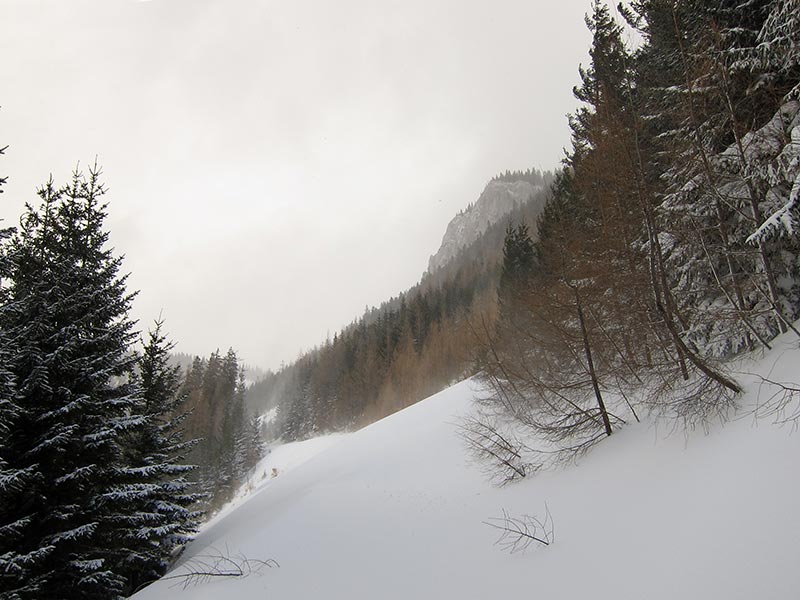 spielkogel